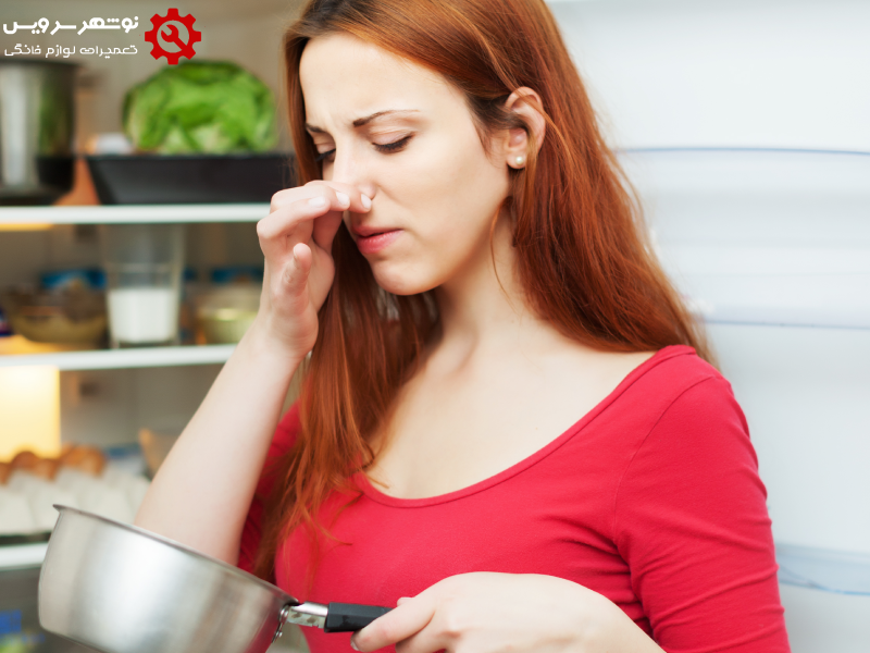 بوی بد یخچال