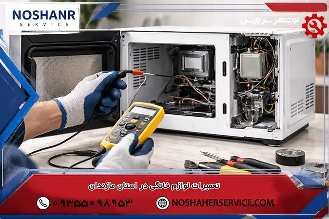 تعمیرکار ماکروفر