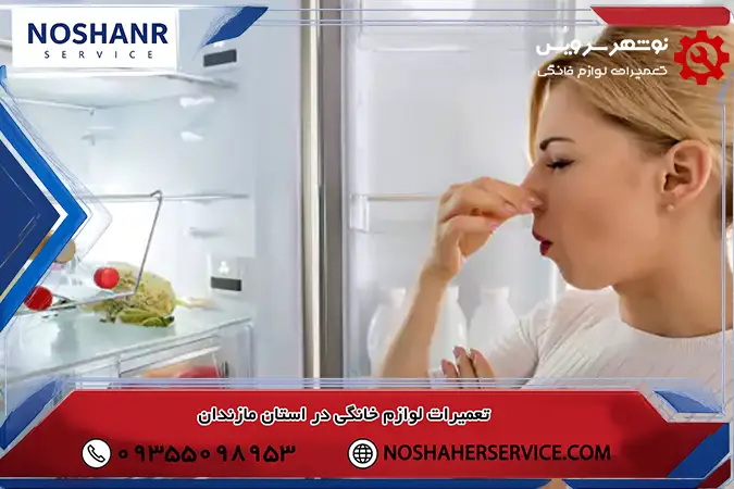 نقش مسیر تخلیه آب و سینی پشت یخچال در بوی بد