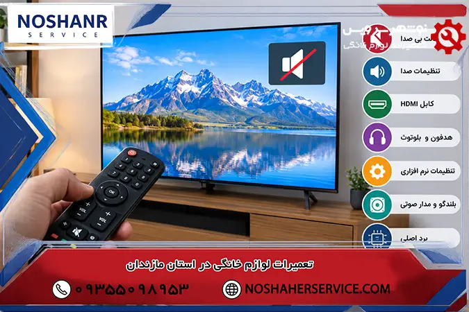 آیا فعال بودن حالت بی صدا می تواند علت قطع شدن صدای تلویزیون باشد؟